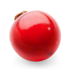Obraz premium red currant on white background
