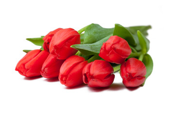 rote Tulpen als Geschenk