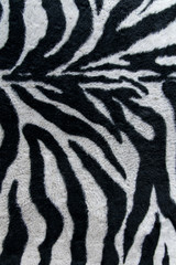 Fototapeta na wymiar texture of print fabric stripes zebra for background