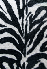Obraz na płótnie Canvas texture of print fabric stripes zebra for background