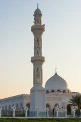 Mosque in Liwa oasis, Abu Dhabi, United Arab Emirates