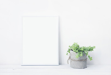 white frame with place for text  with succulent - obrazy, fototapety, plakaty