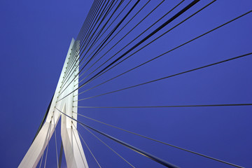 Erasmus Bridge.  Rotterdam, South Holland, Netherlands.