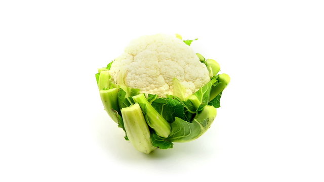 cabbage rotate on white background