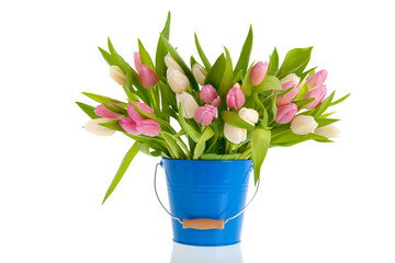 Pink and white tulips in blue bucket