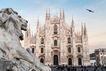 Fototapeta premium Katedra w Mediolanie Duomo. Włochy. Europejski styl gotycki.
