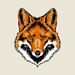 Red Fox Head