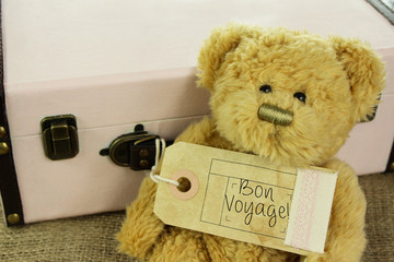 Teddy Bear with vintage suitcase and bon voyage luggage tag