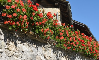 Fototapeta na wymiar façade fleurie