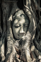 Buddha Head in Tree Roots, Thailand