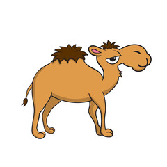 Isolated illustration of a camel