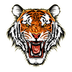 Obraz premium Tiger Head