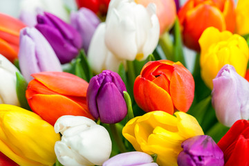 Bunte Tulpen als Blumenstrauß