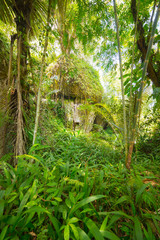 Traditional burial site in Tana Toraja