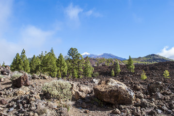 Fototapeta na wymiar Tenerife, Teide