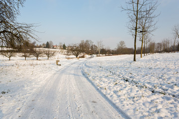 Chemin dans la neige