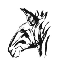 Head of zebra. Ink sketsh.