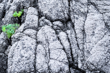 Rock background. Stone mountain