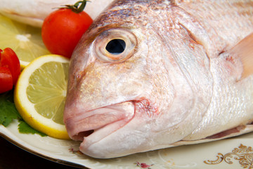 Raw porgy on white dish on wood background