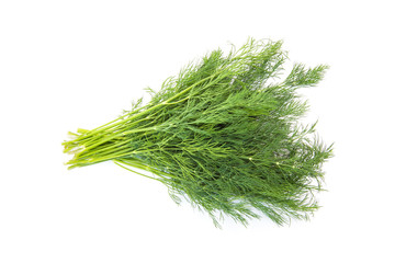 Fresh fennel