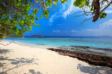 Tropical island with sandy beach, palm trees and ocean
