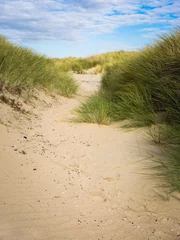 Wall murals North sea, Netherlands sand path through dune grass