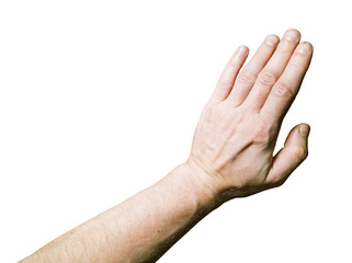 Men's  Palm down on a white background