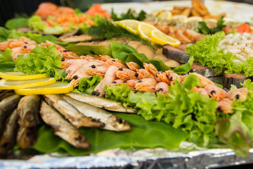 fish plate