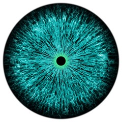 Obraz premium Animal eye with contrast colored iris