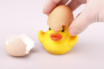 Yellow small plastic duck with egg isolated on a white backgroun