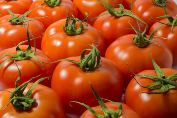 Tomatoes