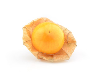 cape gooseberry on white background