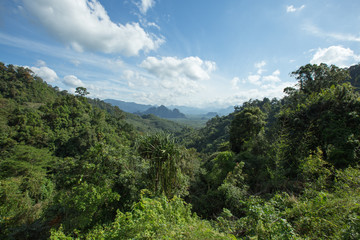 Lush green Jungle landscape of Khao Sok National Park, Thailand