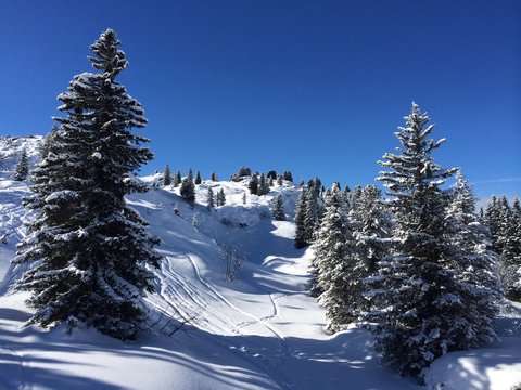 winterlandschaft