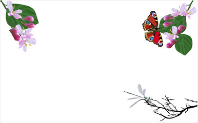 pink blossom and insects on white