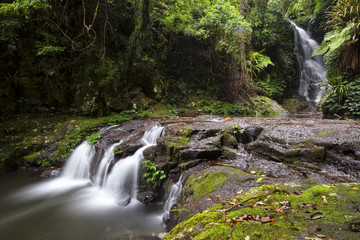 Fototapeta na wymiar Waterfall in the gold coast hinterlands on the nsw border.