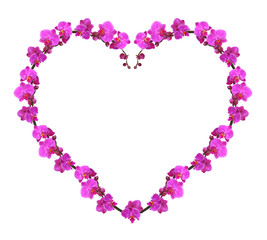 Beautiful flowers in shape of heart isolated on white