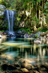 Fototapeta premium Waterfall in the gold coast hinterlands on the nsw border.