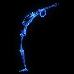 Skeletal joints