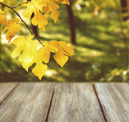 Naklejka na ściany i meble Wooden board on autumn park background