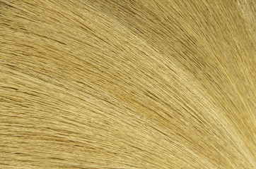detail broom wood background
