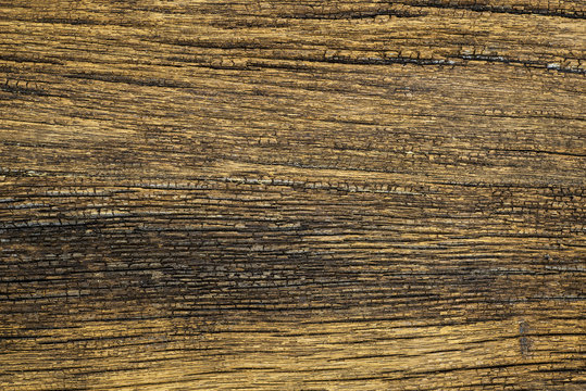 Texture of old wood with grain