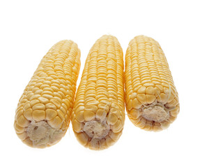 sweet corn on the cob
