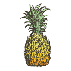 Pineapple