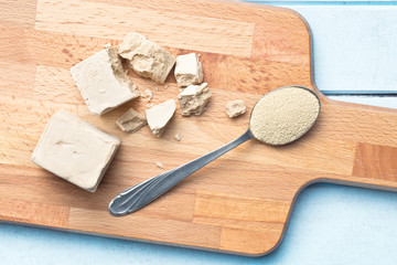fresh and dry yeast
