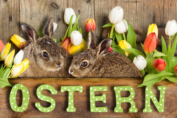 Frohe Ostern