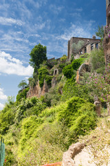 Fototapeta na wymiar Nature of Lazio