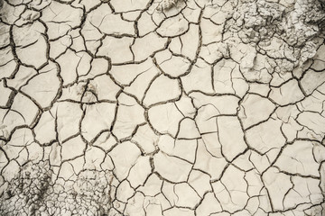 shrinkage cracks