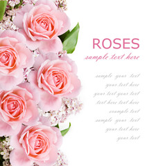 Obraz premium Wedding background with pink roses and lilac