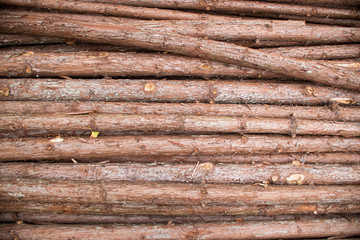 timber texture